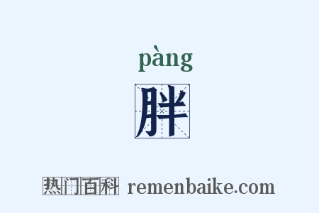 胖是什么意思的图片